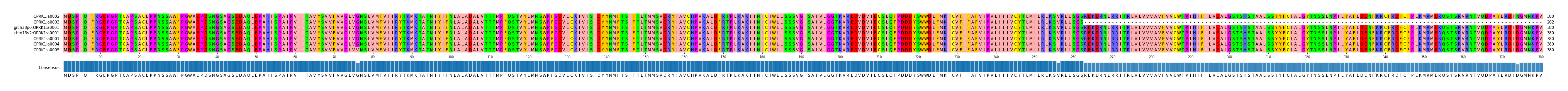 Multiple Alignments (by translate haplotype similarity)