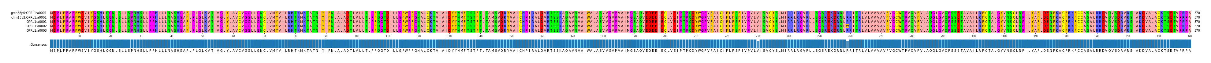 Multiple Alignments (by translate haplotype frequency)