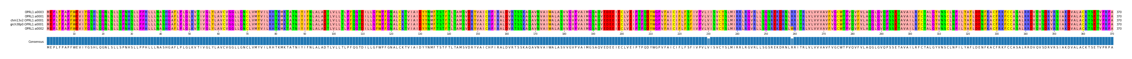 Multiple Alignments (by translate haplotype similarity)