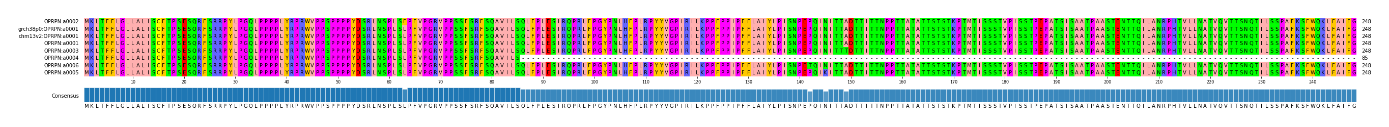 Multiple Alignments (by translate haplotype similarity)
