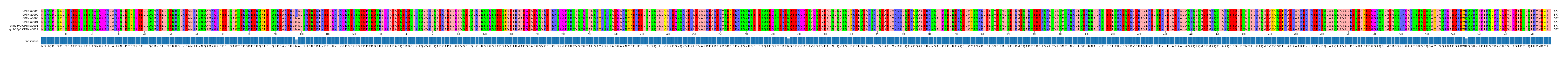 Multiple Alignments (by translate haplotype similarity)