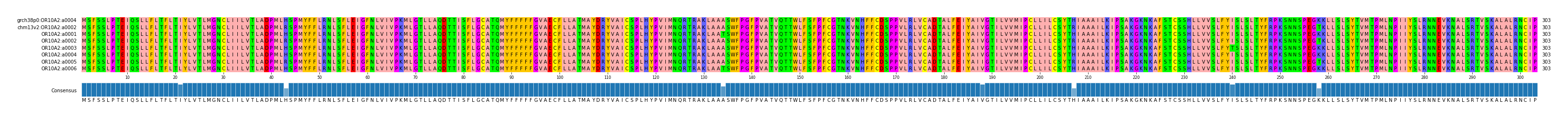 Multiple Alignments (by translate haplotype frequency)