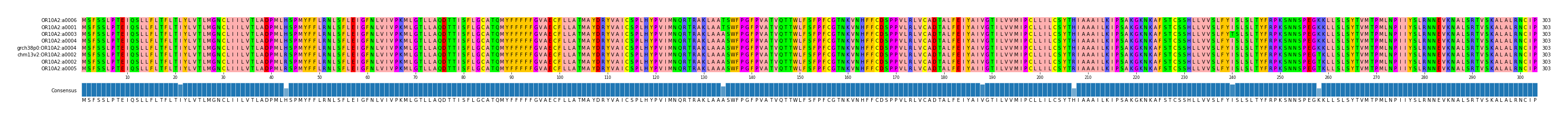 Multiple Alignments (by translate haplotype similarity)