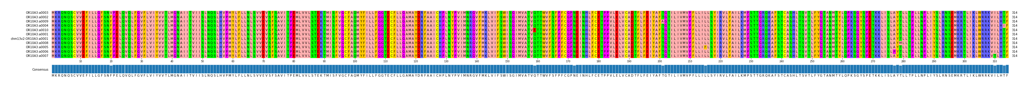 Multiple Alignments (by translate haplotype similarity)
