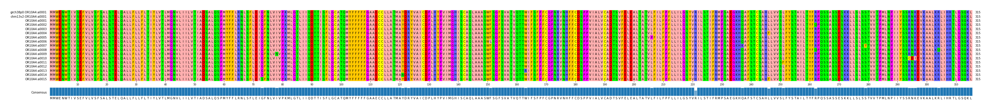 Multiple Alignments (by translate haplotype frequency)