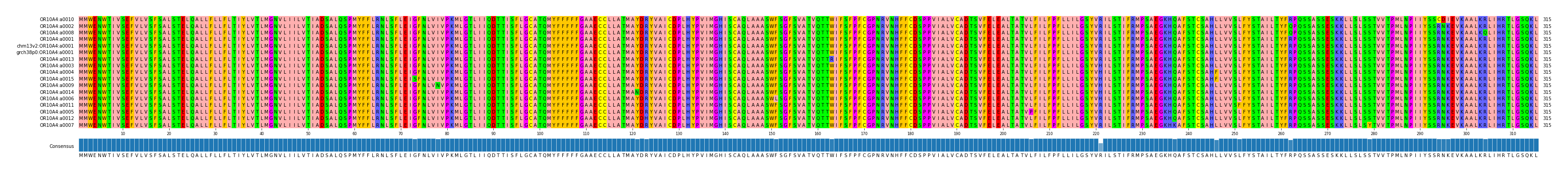 Multiple Alignments (by translate haplotype similarity)