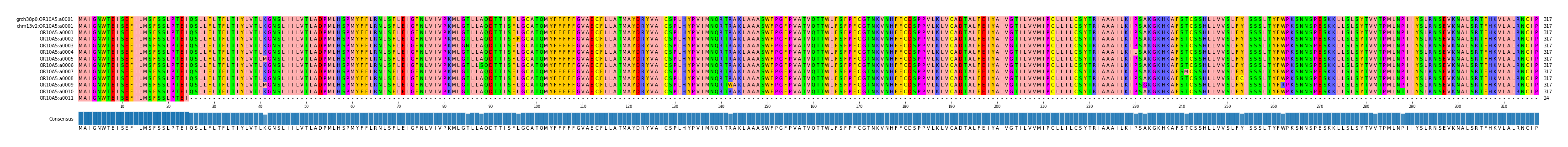 Multiple Alignments (by translate haplotype frequency)