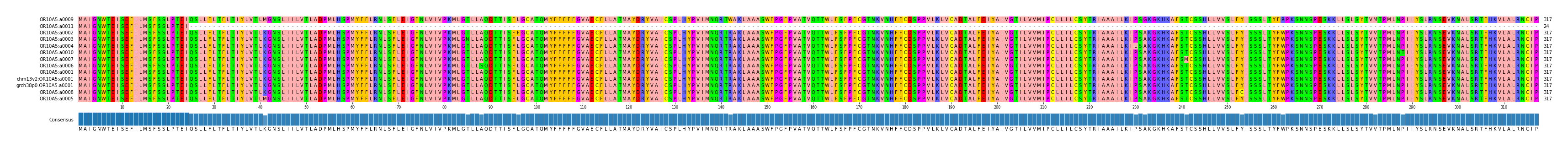 Multiple Alignments (by translate haplotype similarity)