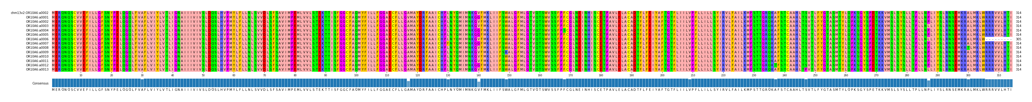 Multiple Alignments (by translate haplotype frequency)