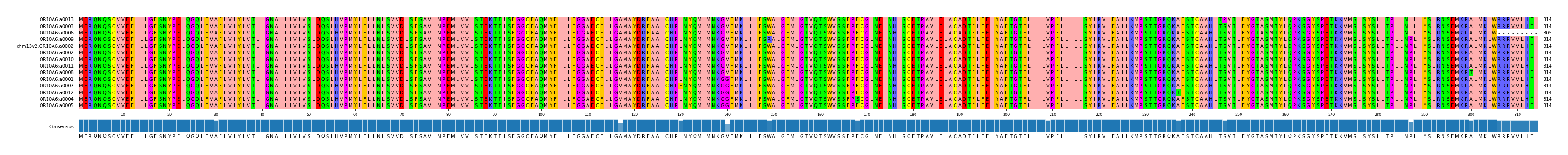 Multiple Alignments (by translate haplotype similarity)