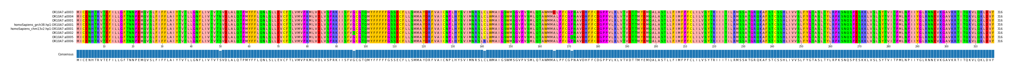 Multiple Alignments (by translate haplotype similarity)
