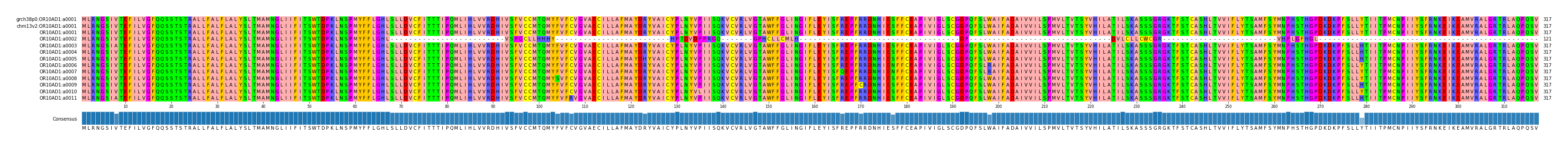 Multiple Alignments (by translate haplotype frequency)