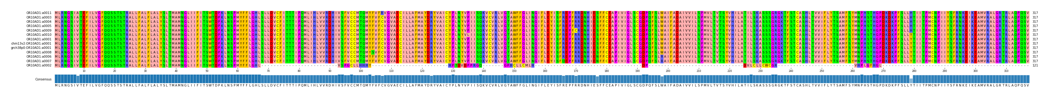 Multiple Alignments (by translate haplotype similarity)
