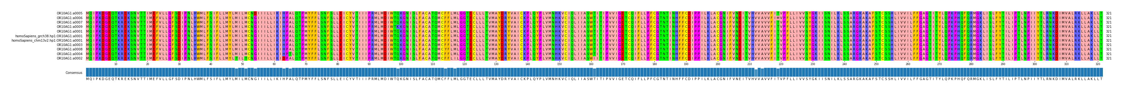 Multiple Alignments (by translate haplotype similarity)