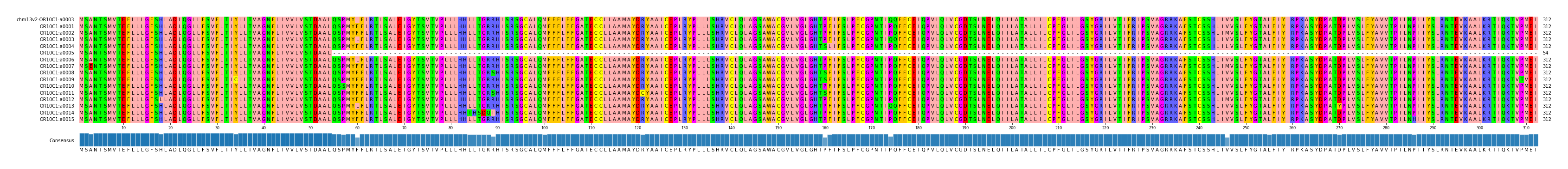 Multiple Alignments (by translate haplotype frequency)