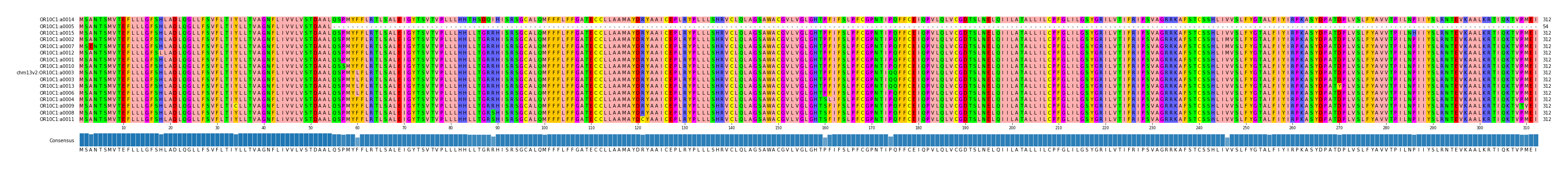 Multiple Alignments (by translate haplotype similarity)