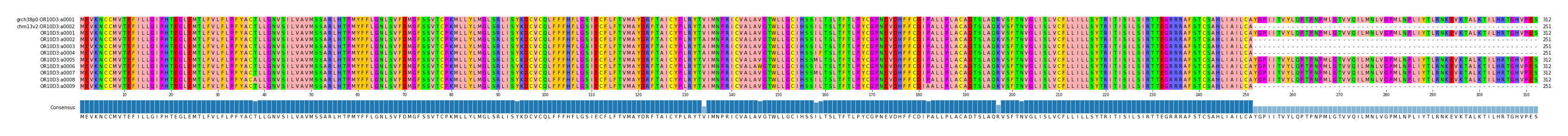 Multiple Alignments (by translate haplotype frequency)