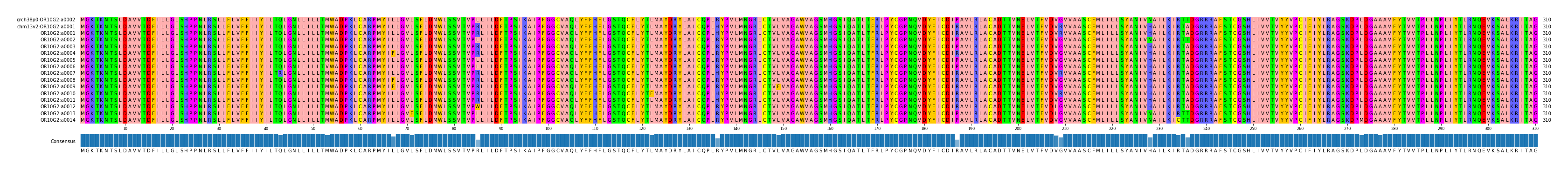 Multiple Alignments (by translate haplotype frequency)