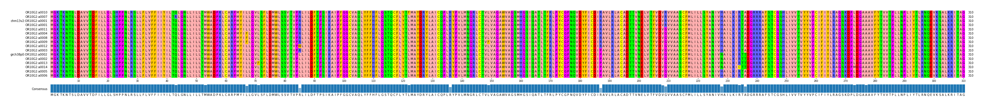 Multiple Alignments (by translate haplotype similarity)