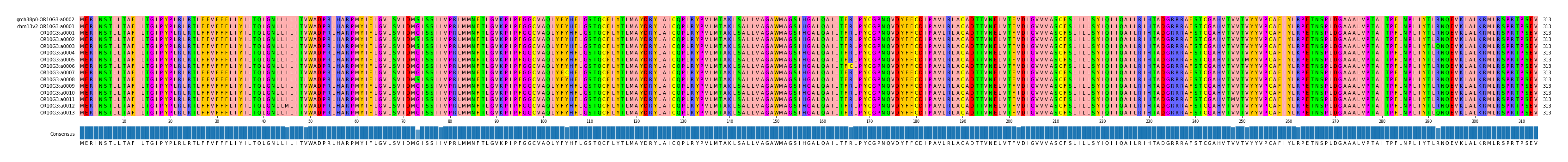 Multiple Alignments (by translate haplotype frequency)
