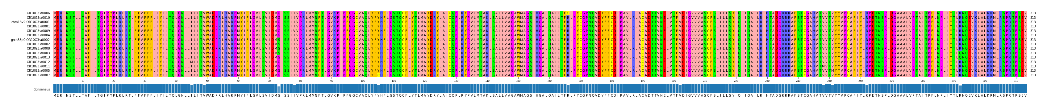 Multiple Alignments (by translate haplotype similarity)