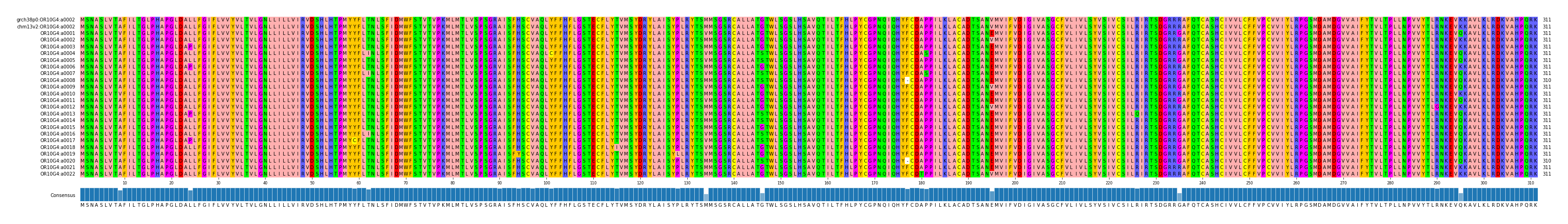 Multiple Alignments (by translate haplotype frequency)