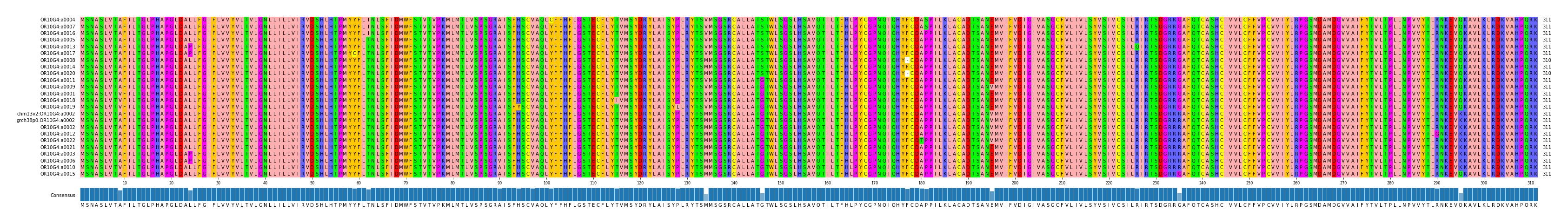 Multiple Alignments (by translate haplotype similarity)