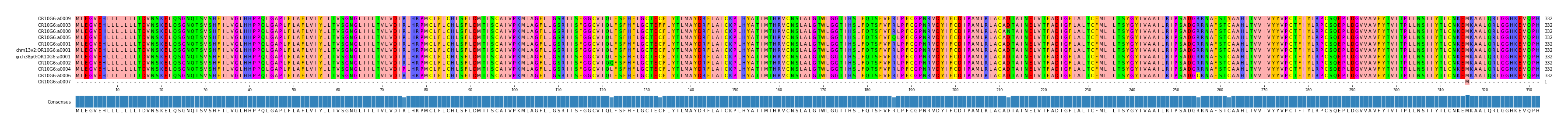 Multiple Alignments (by translate haplotype similarity)