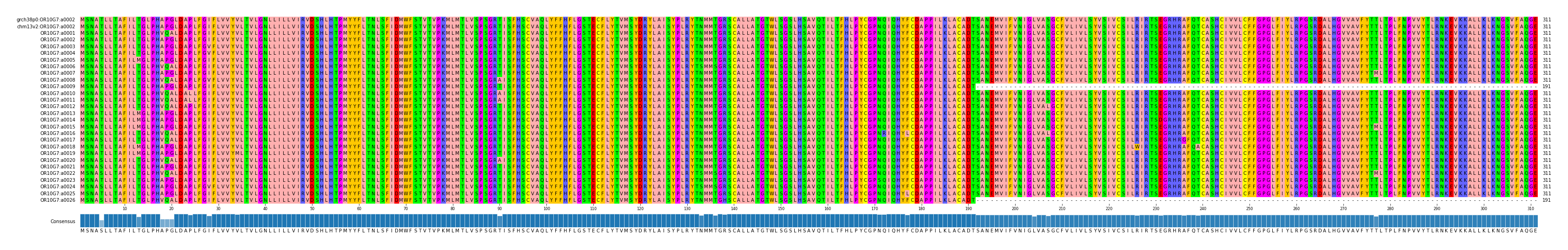 Multiple Alignments (by translate haplotype frequency)