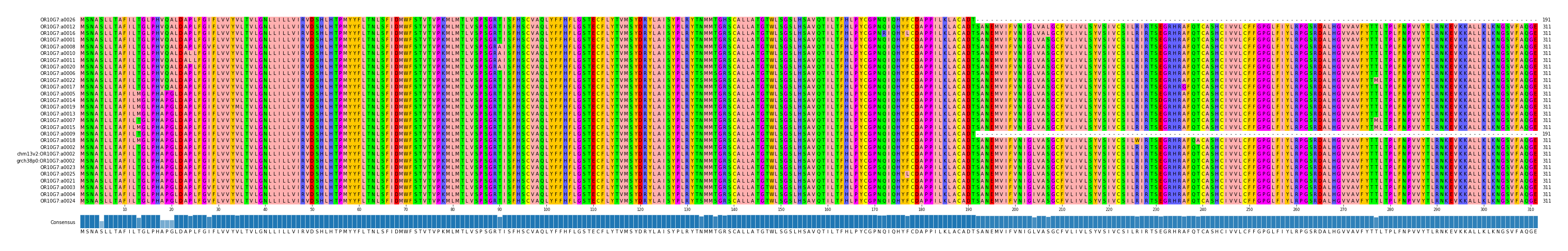 Multiple Alignments (by translate haplotype similarity)