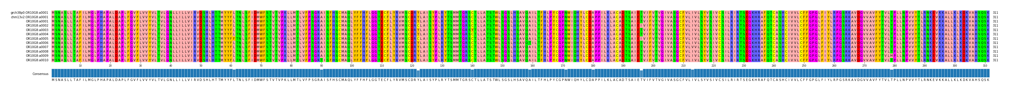Multiple Alignments (by translate haplotype frequency)