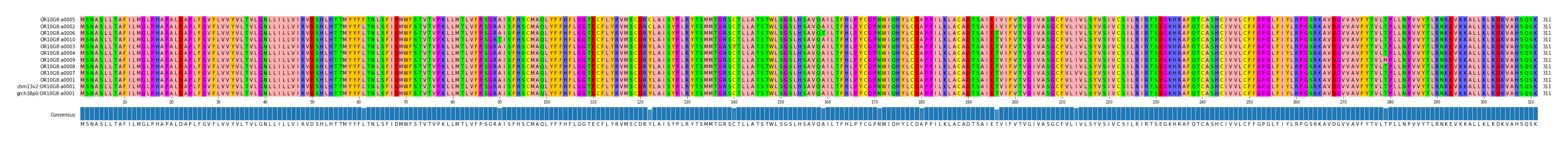 Multiple Alignments (by translate haplotype similarity)