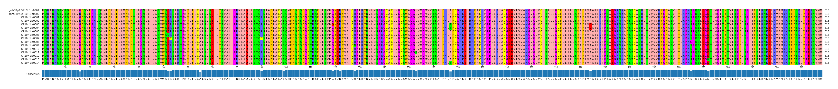Multiple Alignments (by translate haplotype frequency)