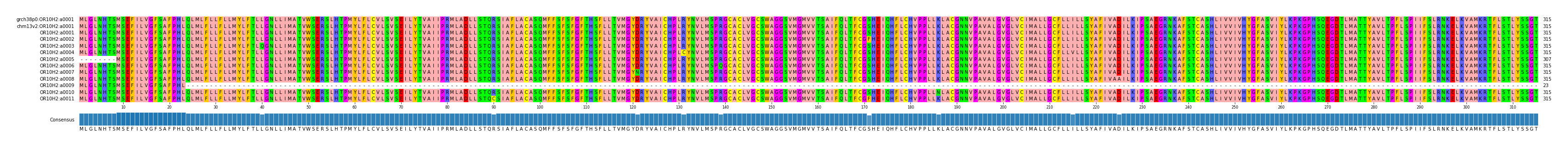 Multiple Alignments (by translate haplotype frequency)