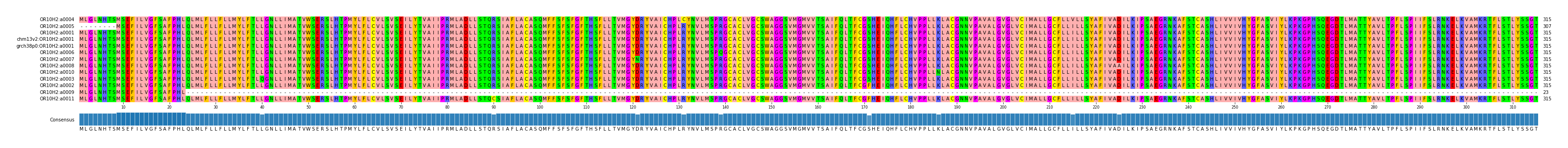 Multiple Alignments (by translate haplotype similarity)