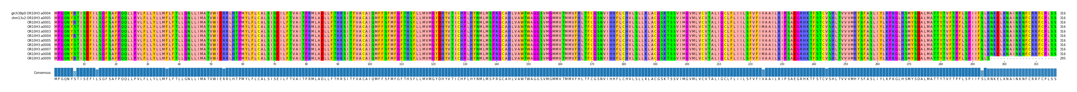 Multiple Alignments (by translate haplotype frequency)