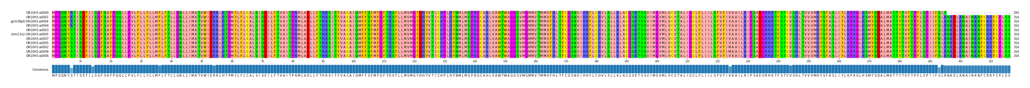 Multiple Alignments (by translate haplotype similarity)