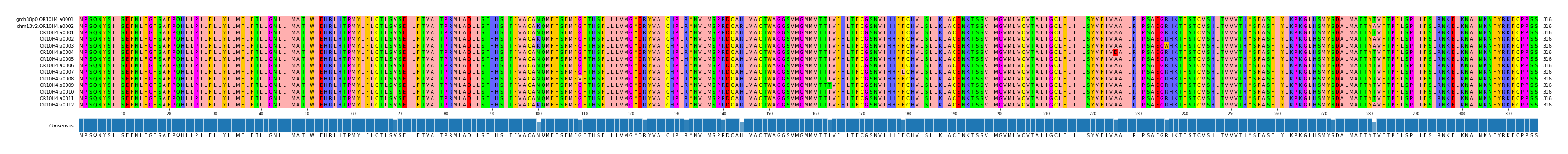 Multiple Alignments (by translate haplotype frequency)
