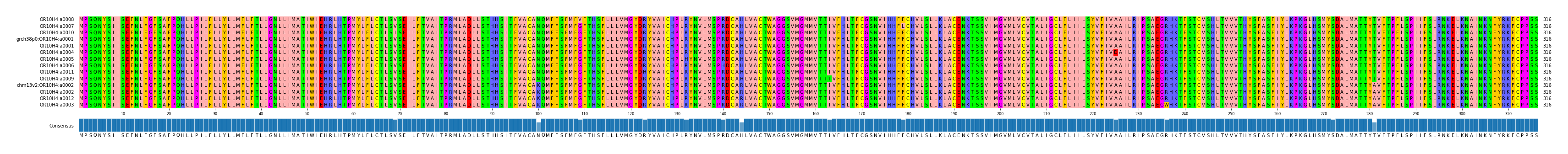 Multiple Alignments (by translate haplotype similarity)