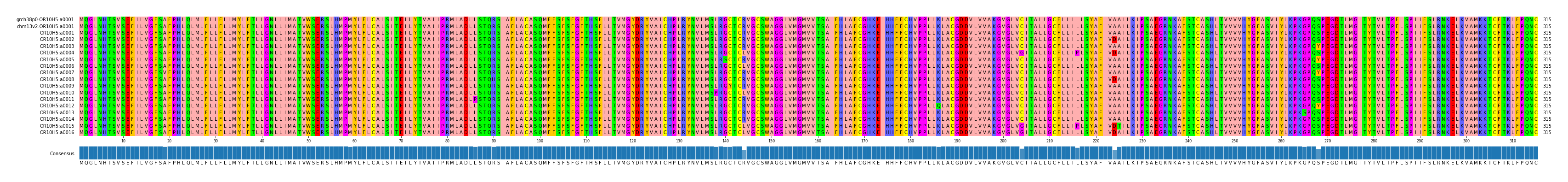 Multiple Alignments (by translate haplotype frequency)