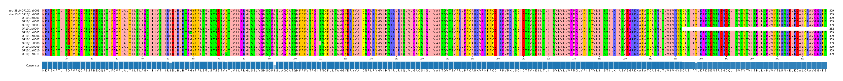 Multiple Alignments (by translate haplotype frequency)