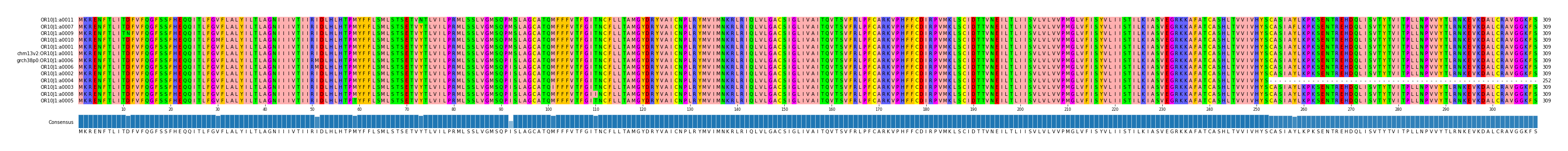 Multiple Alignments (by translate haplotype similarity)
