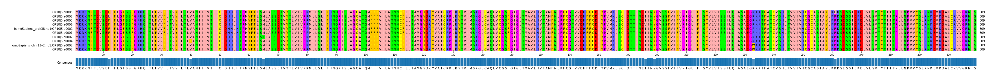 Multiple Alignments (by translate haplotype similarity)