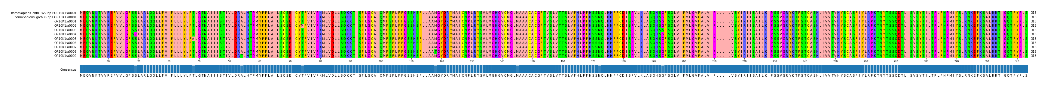 Multiple Alignments (by translate haplotype frequency)