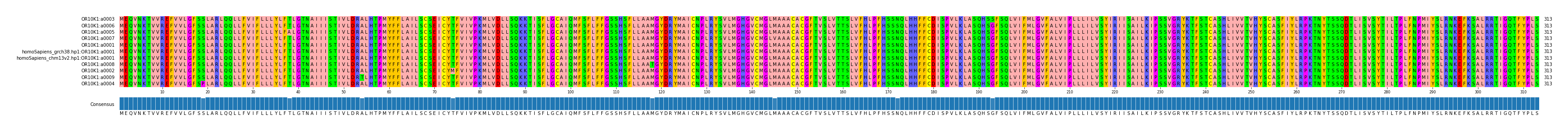 Multiple Alignments (by translate haplotype similarity)