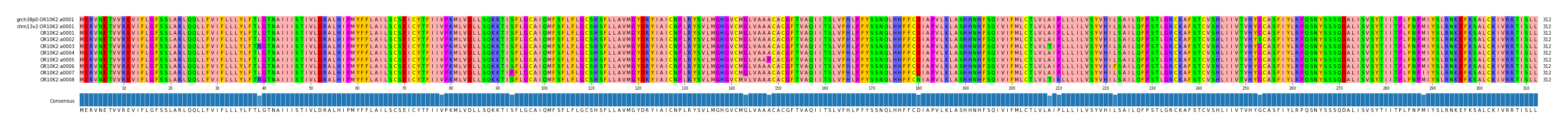 Multiple Alignments (by translate haplotype frequency)