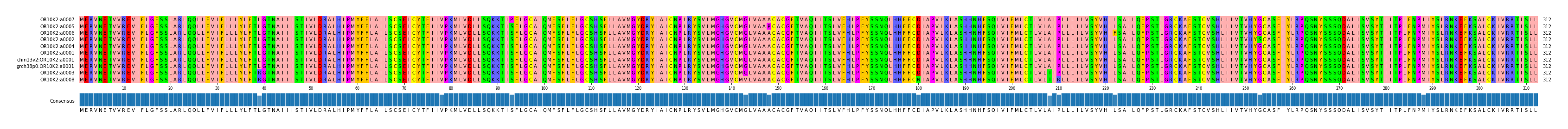 Multiple Alignments (by translate haplotype similarity)