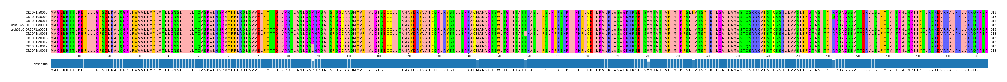 Multiple Alignments (by translate haplotype similarity)
