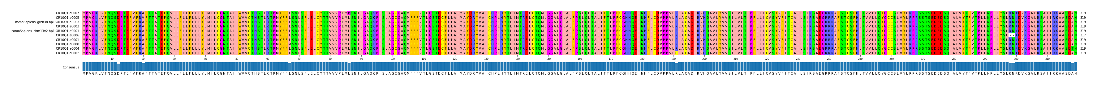 Multiple Alignments (by translate haplotype similarity)