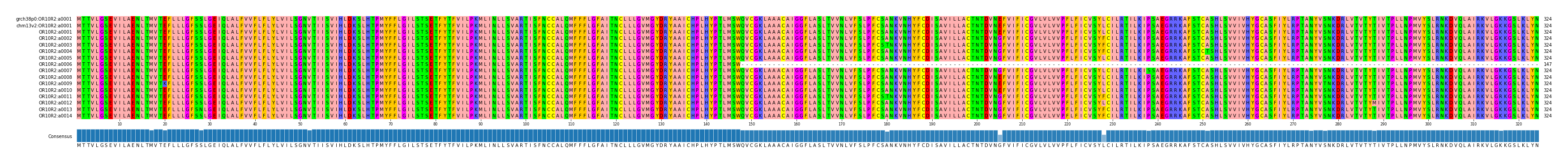 Multiple Alignments (by translate haplotype frequency)